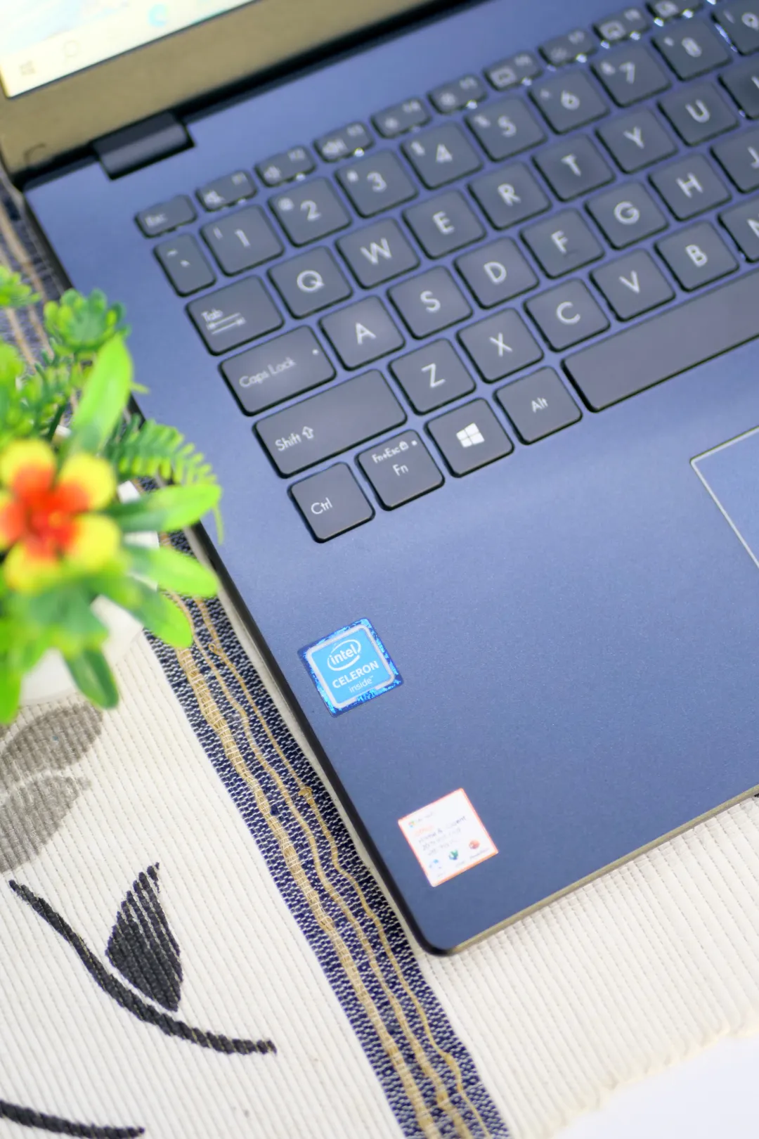 Asus E410M foto 3